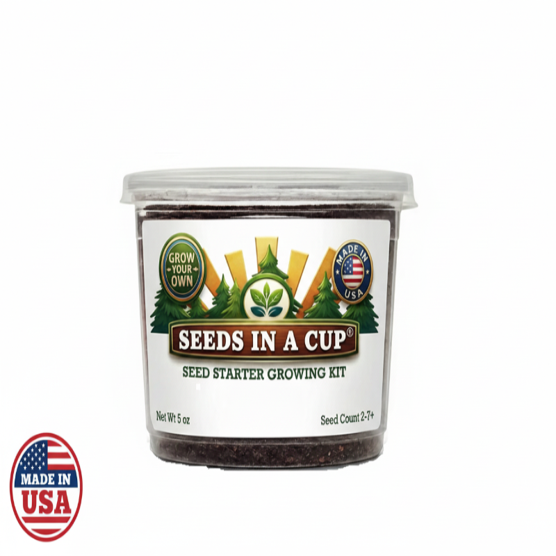 Southern Magnolia Grow Kit